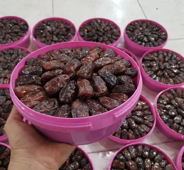 خرید و فروش خرما کبکاب سطلی با شرایط فوق العاده
